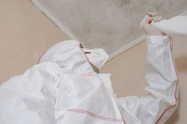 Attic Mold Removal in Pleasant View, TN